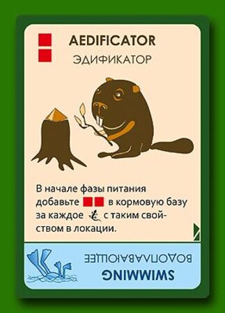 Эволюция. Континенты (дополнение)