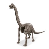 Брахиозавр 4